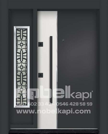 NOBEL KAPI BİNA GİRİŞ-828